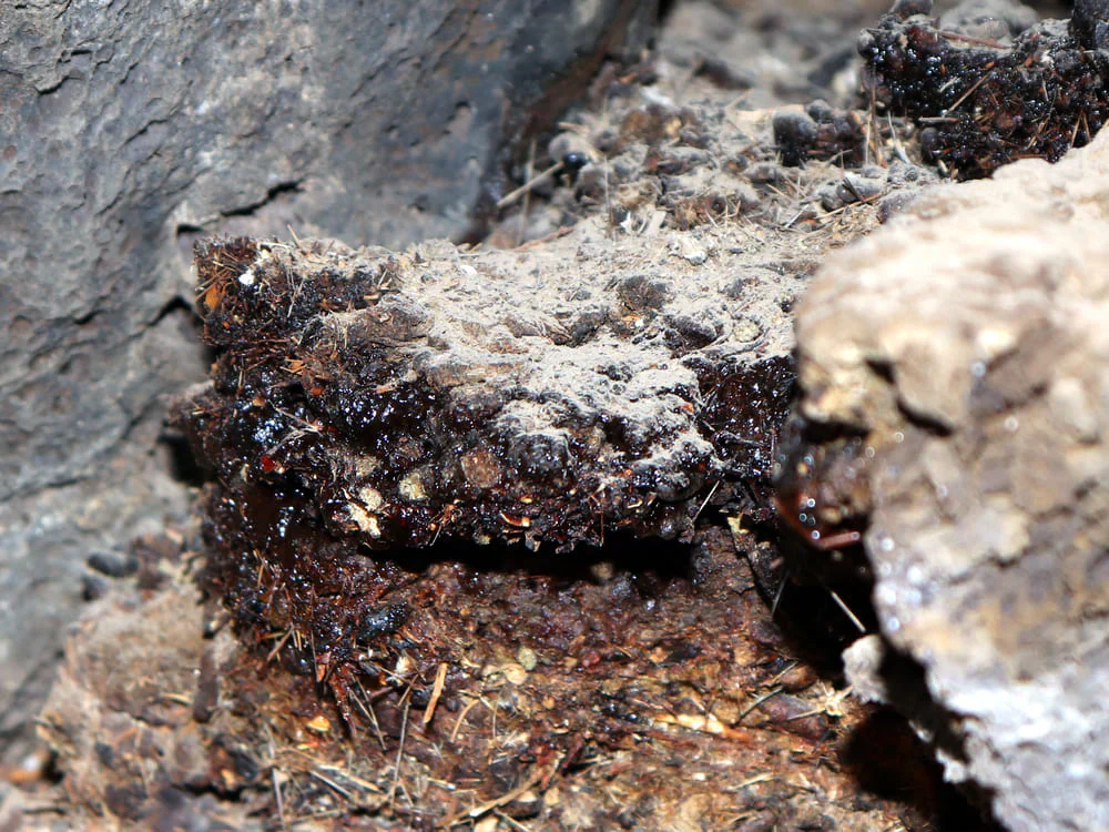 shilajit